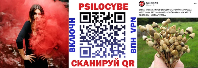 Галлюциногенные грибы GOLDEN TEACHER  Северская 