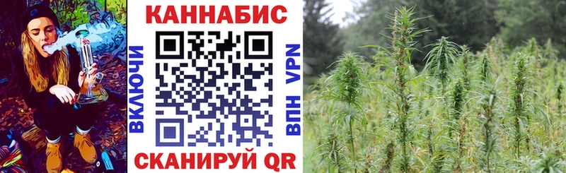 Бошки Шишки гибрид  площадка наркотические препараты  Северская 